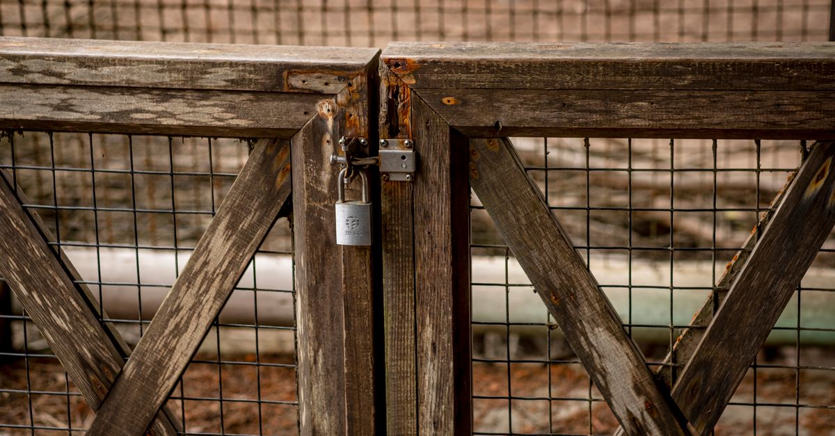 Photo by David McElwee on Pexels