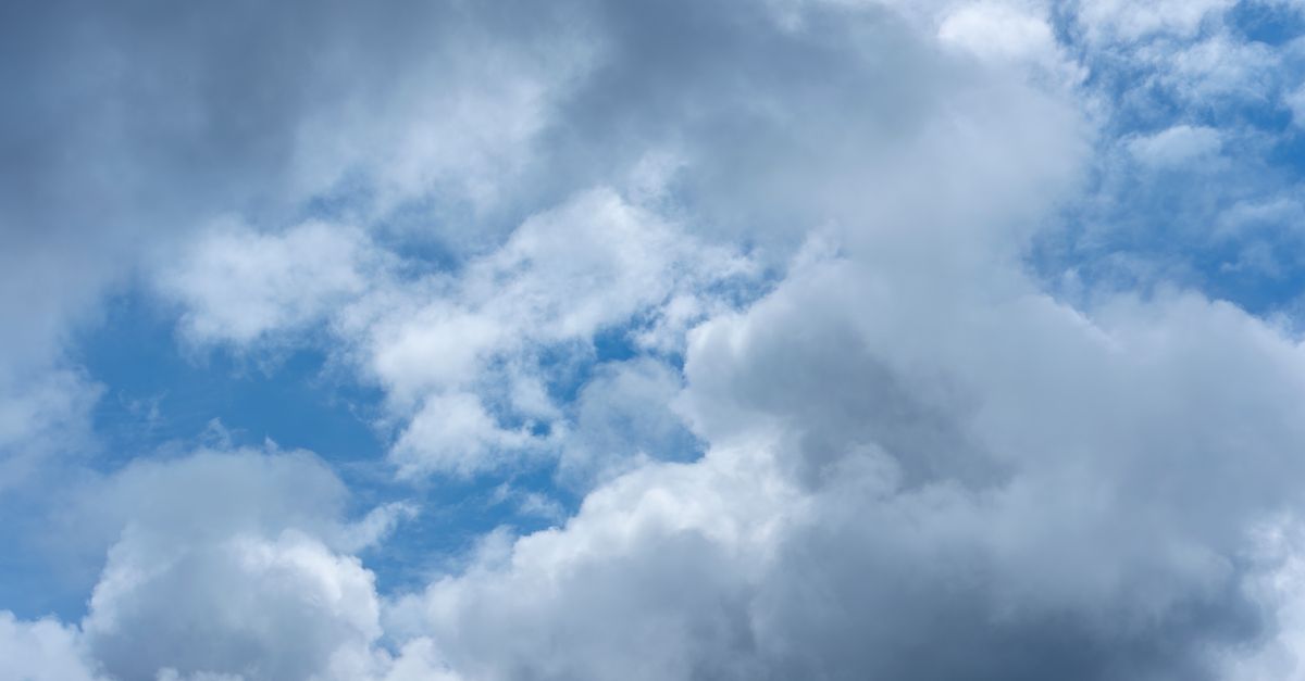 Photo by David McElwee on Pexels