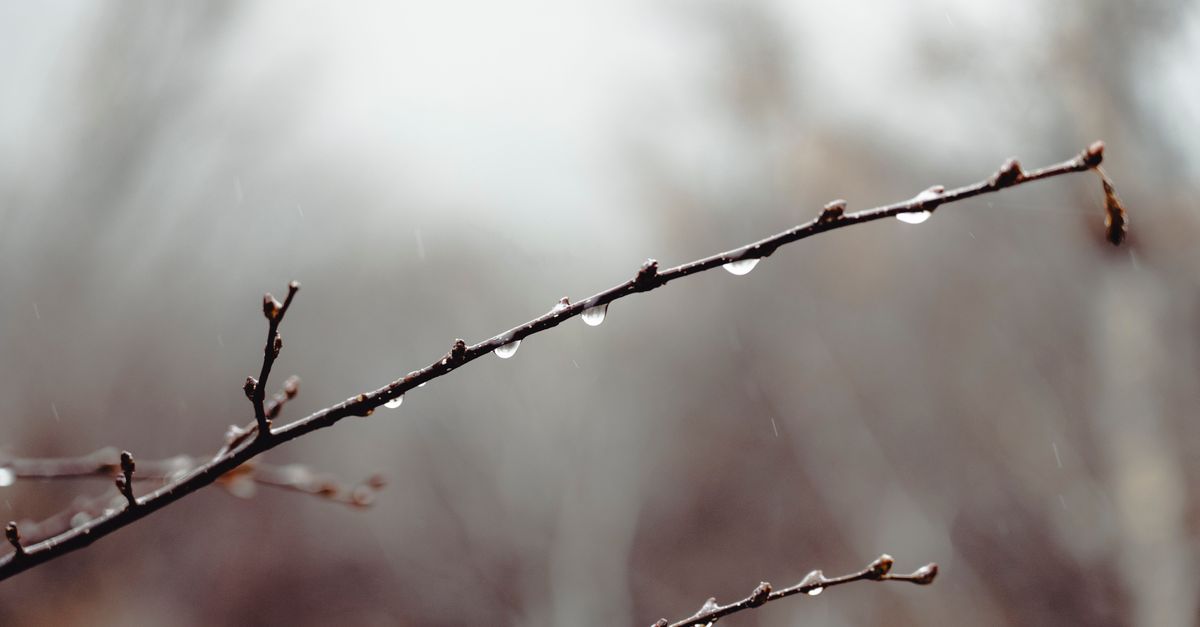 Photo by Joshua Woroniecki on Pexels
