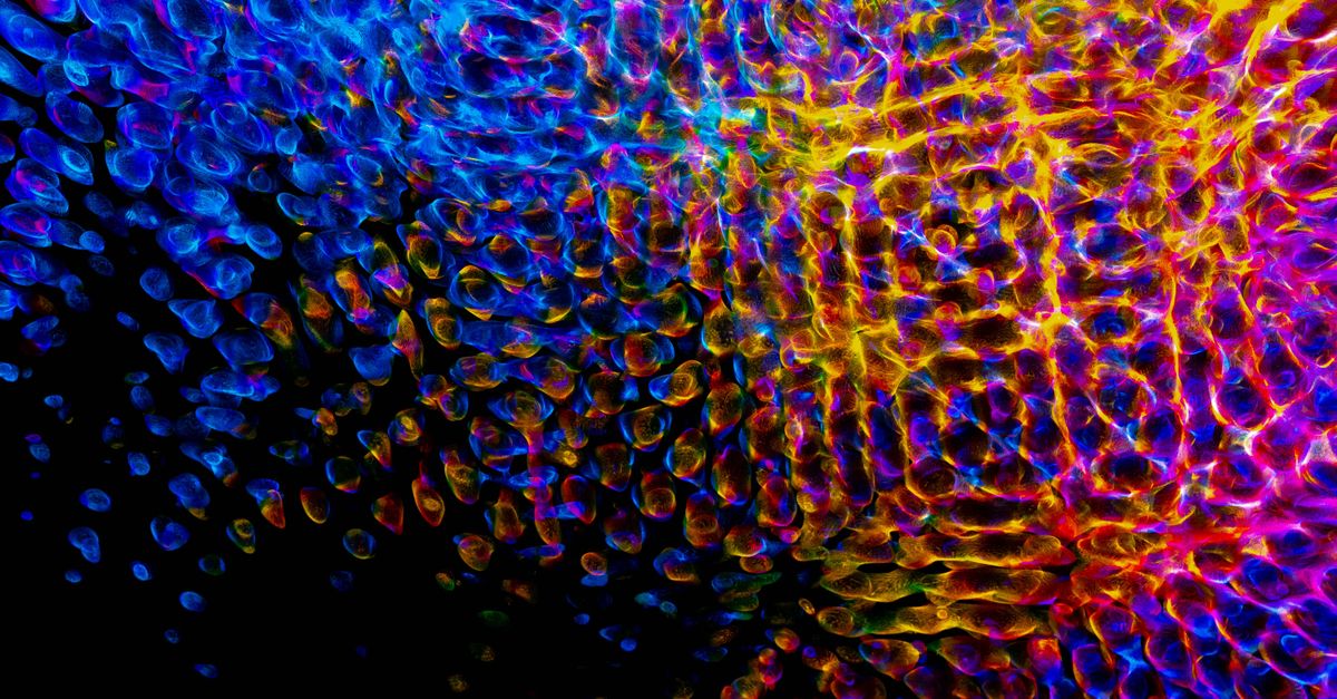 Photo by Merlin Lightpainting on Pexels